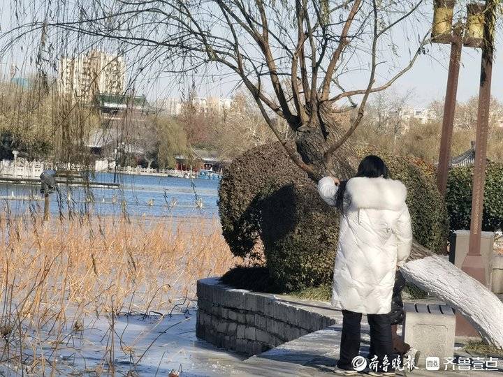 难得一遇的冬季美景,济南大明湖结冰了